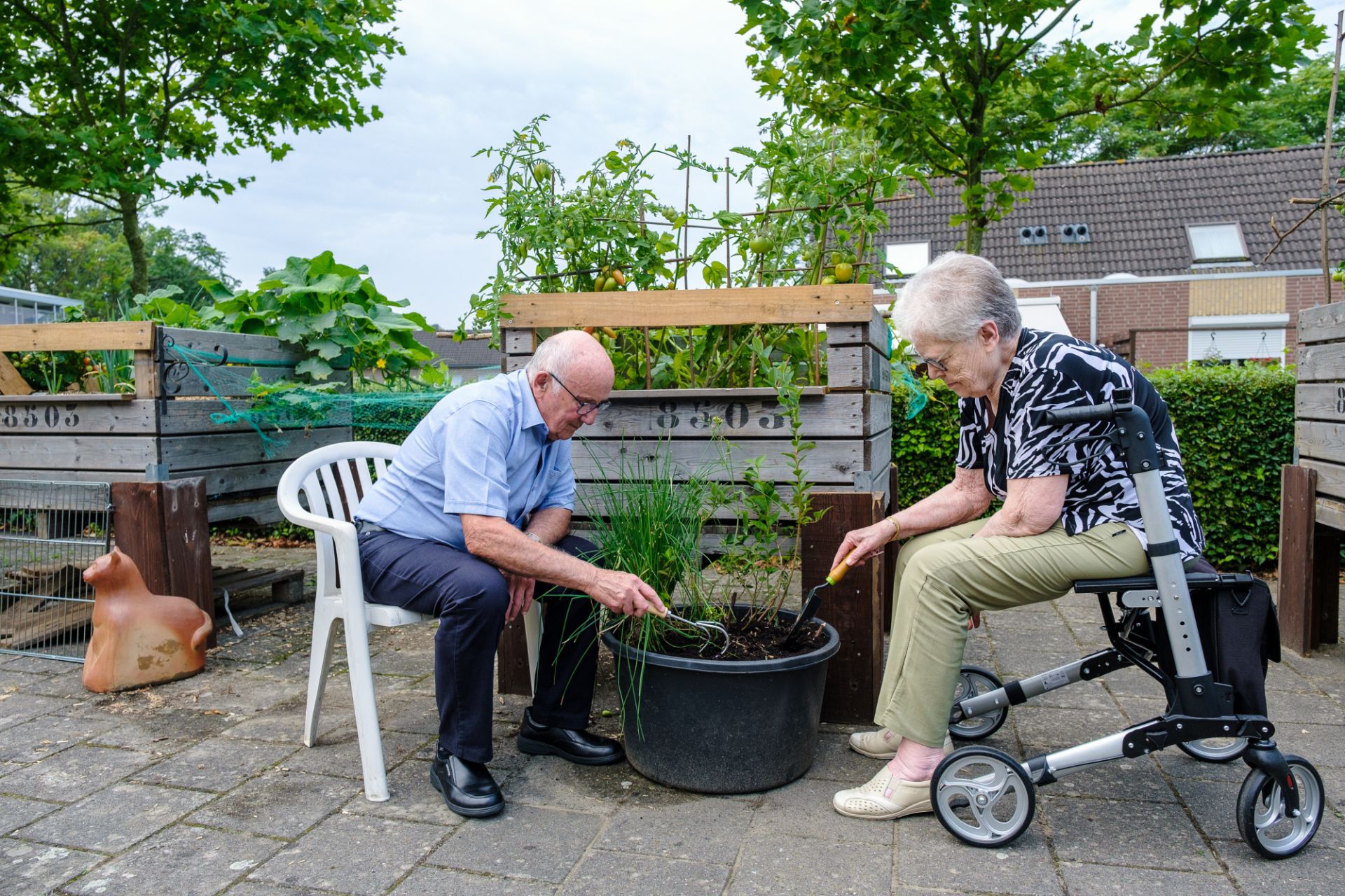 20240814 Maasvallei Zuiderlicht 2394